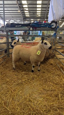 wp_20160909_12_45_16_rich