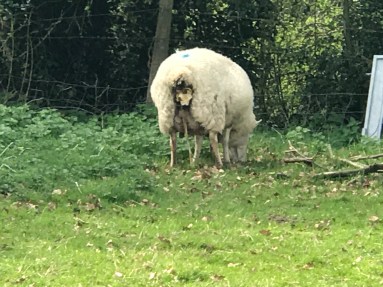 20170401_134357617_iOS