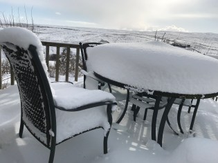 20180228_144222834_iOS