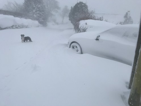 20180301_115248984_iOS